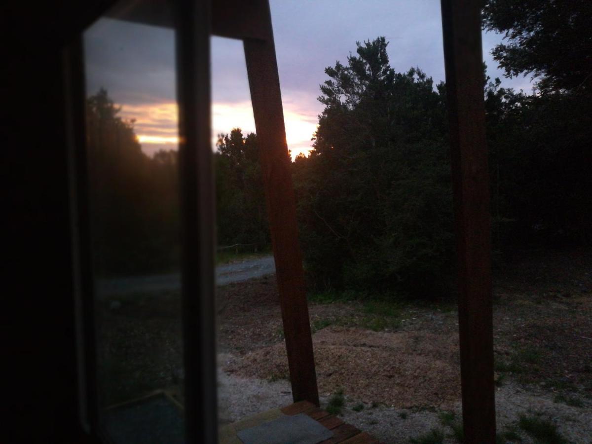Hostal La Minga Chaitén 외부 사진